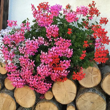 Гостевой дом Patz